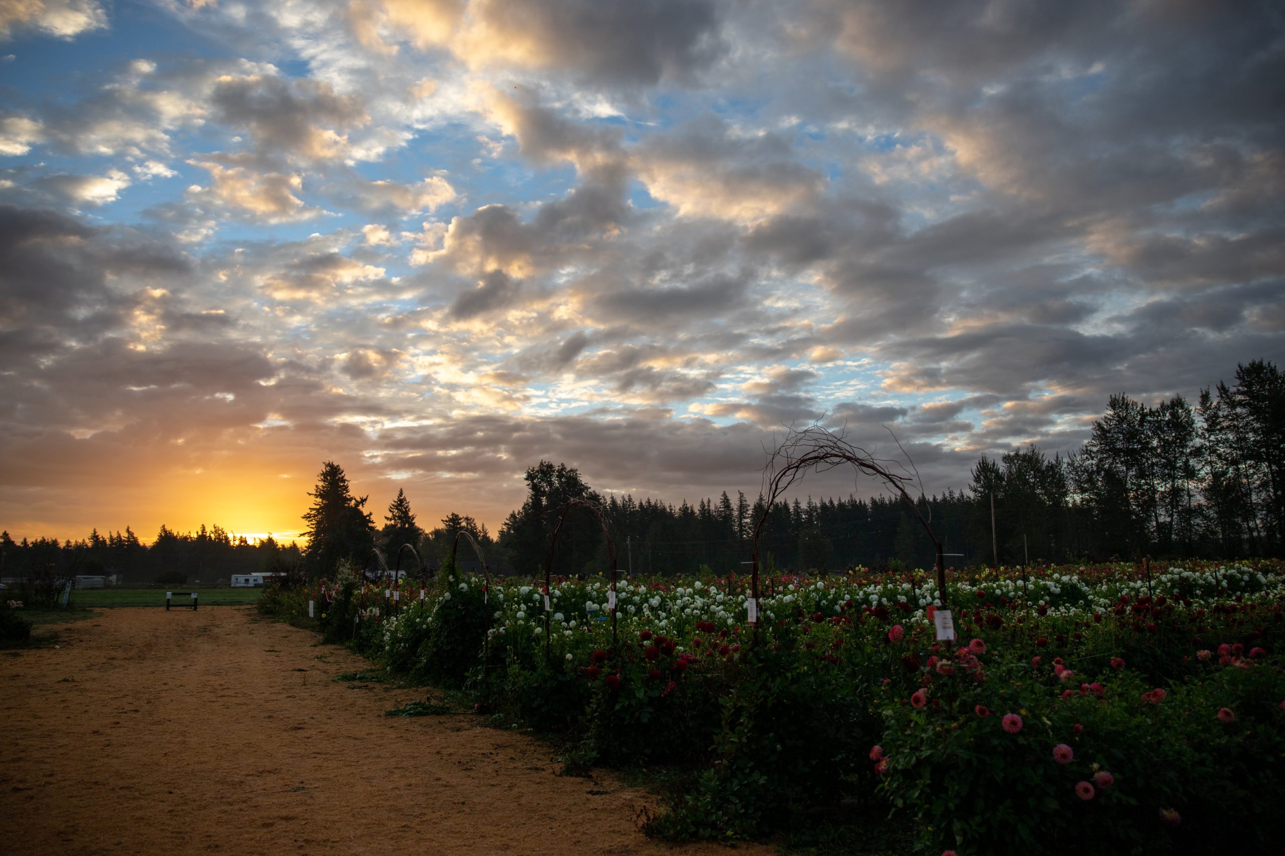 Crop Rotation, Field Rest, and Biodiversity