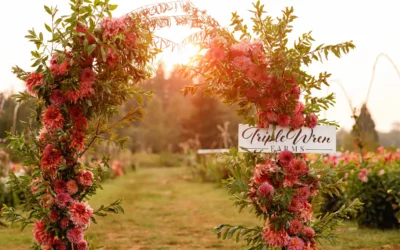 Best Dahlias for Market Bouquets